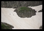 Durmitor - Prutas -02-07-2013 - Bogdan Balaban